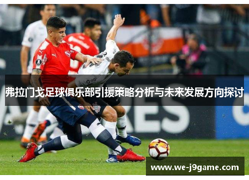 弗拉门戈足球俱乐部引援策略分析与未来发展方向探讨