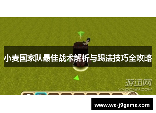 小麦国家队最佳战术解析与踢法技巧全攻略 小麦国家队最佳战术解析与踢法技巧全攻略