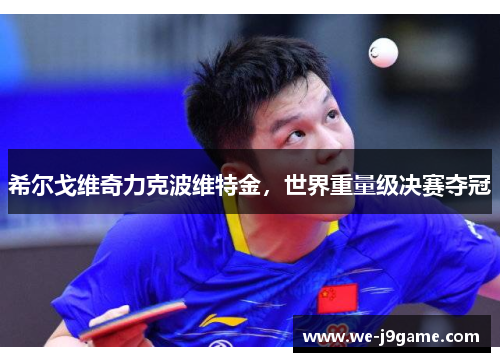 希尔戈维奇力克波维特金,世界重量级决赛夺冠 希尔戈维奇力克波维特金,世界重量级决赛夺冠