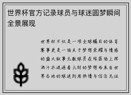 世界杯官方记录球员与球迷圆梦瞬间全景展现